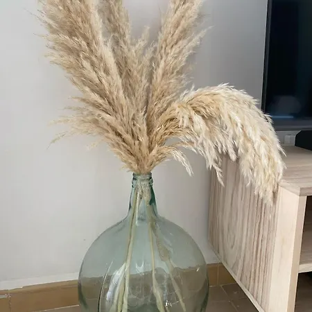Terreta De دينايا