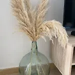Terreta De 데니아